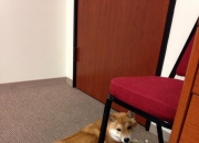 开云体育下载-英超争冠焦点战与意甲格局，尤文强压亚特兰大的双重启示