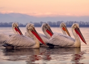 开云在线直播-总决赛之夜，坎特用节奏掌控书写传奇