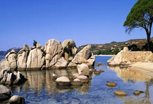 开云体育-关于法国羽毛球队险胜印度羽毛球队，安赛龙关键制胜的信息