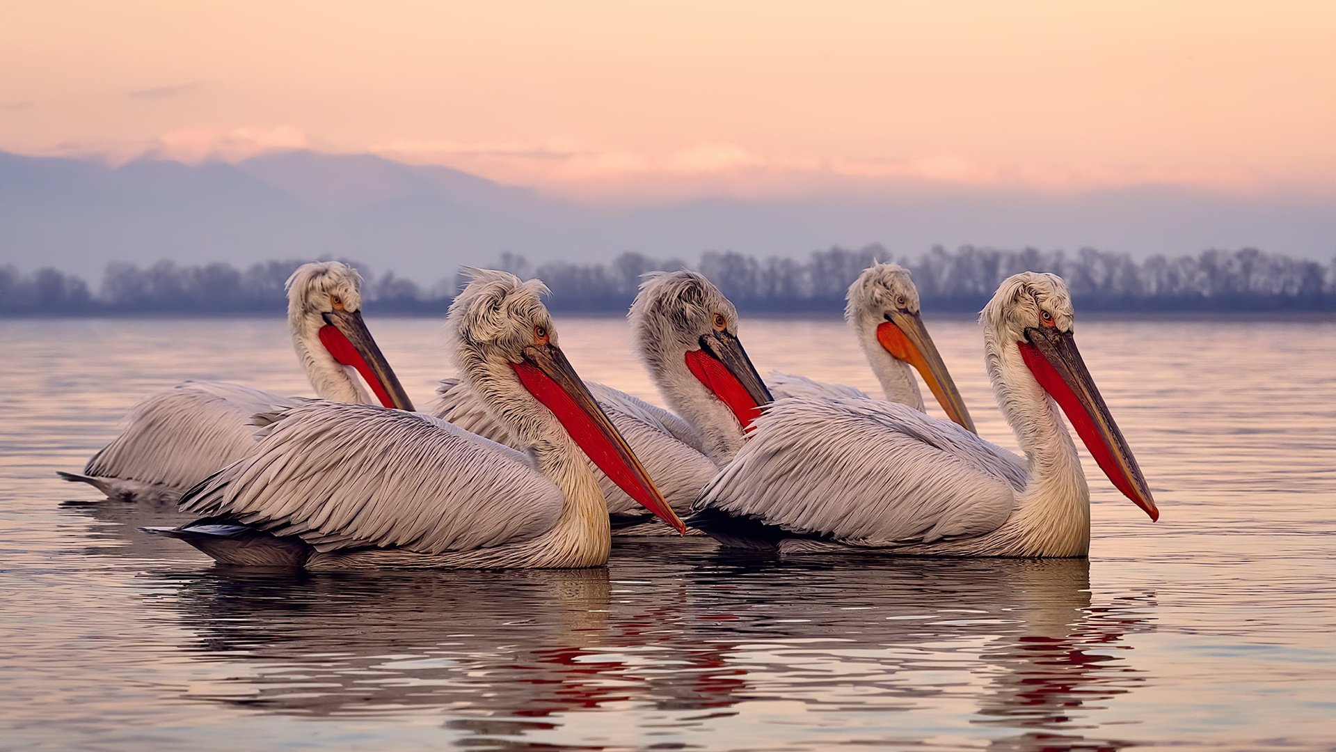 总决赛之夜，坎特用节奏掌控书写传奇