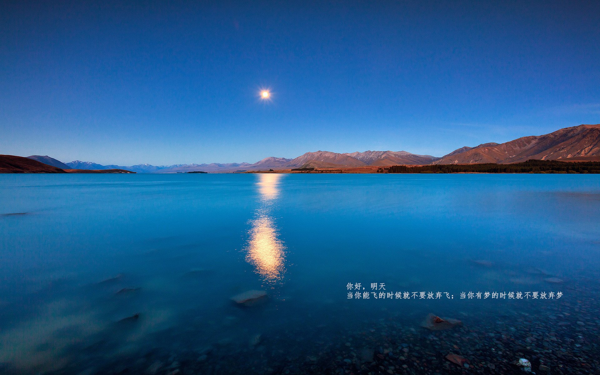 F1新赛季揭幕战与雄鹿速胜广厦,速度与策略的双重奏