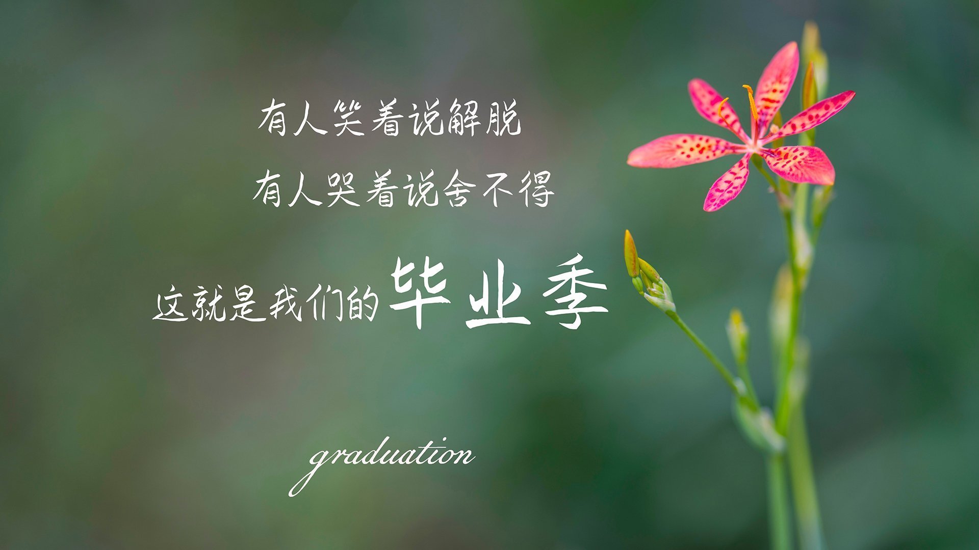 跨界统治力,从尼克斯的全面压制到班凯罗的英超争冠接管